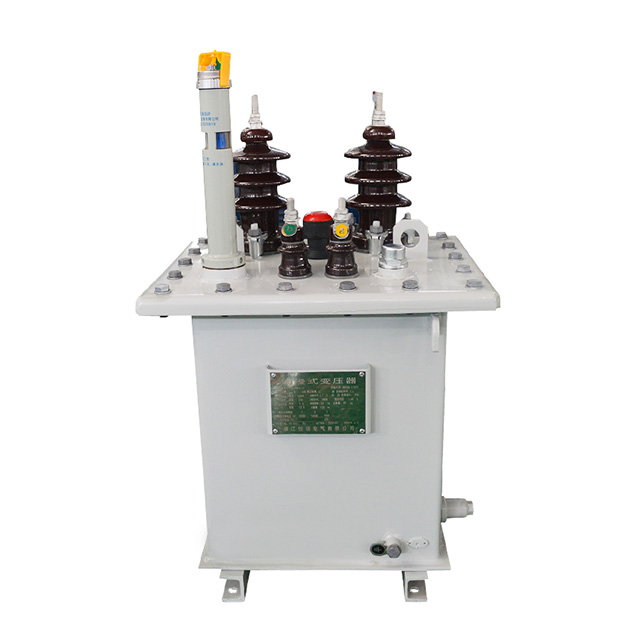 11 kV-Einphasenöl auf einem Säulenöltransformator montiert