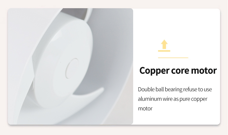 Wandmontierte Abgasl&uuml;fter 