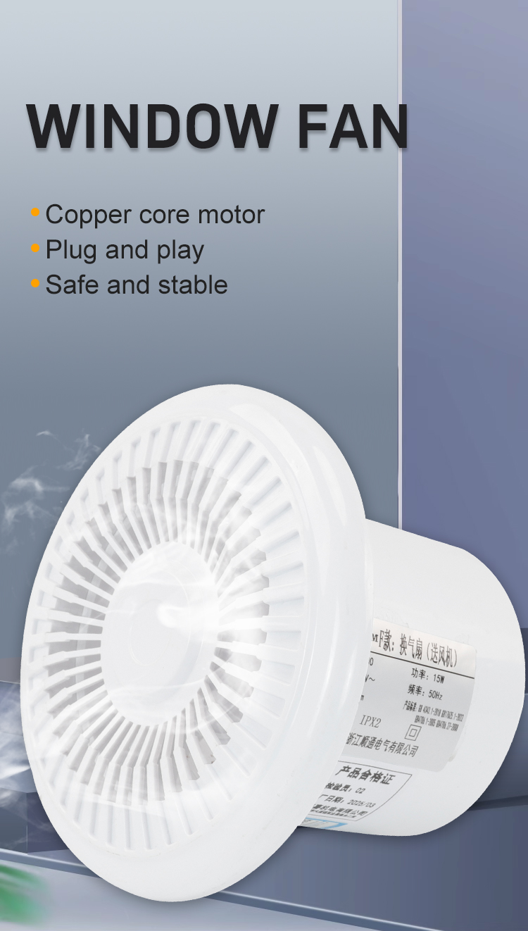 STA100-F Fenster L&uuml;fterfenster 